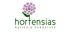 hortensias